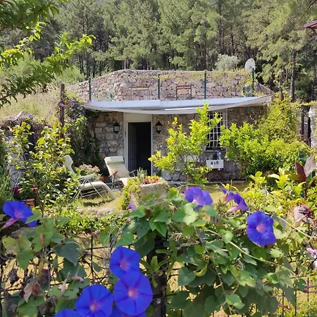 Stone Garden, Terrace Sea And Forest View * 马尔马里斯