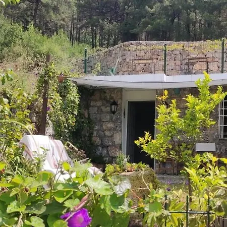 Stone Garden, Terrace Sea And Forest View Hotel Marmaris