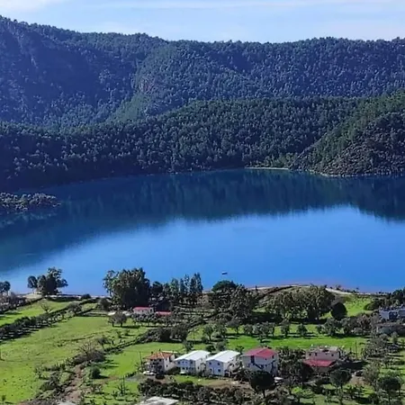 Stone Garden, Terrace Sea And Forest View Hotel *